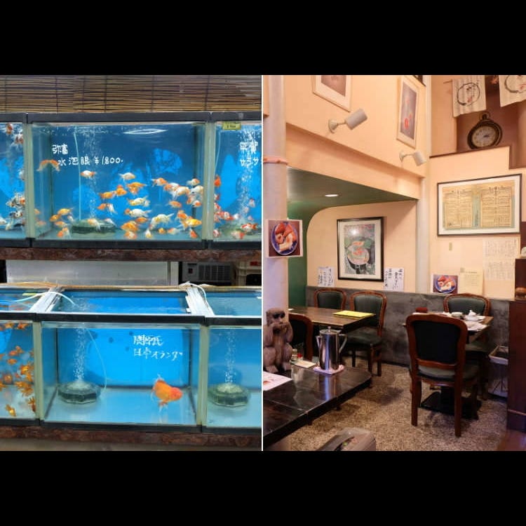 Kingyozaka 秋葉原 其他咖啡廳 甜點 Live Japan 日本旅遊 文化體驗導覽 Kingyozaka 秋葉原 其他咖啡廳 甜點 Live Japan 日本旅遊 文化體驗導覽