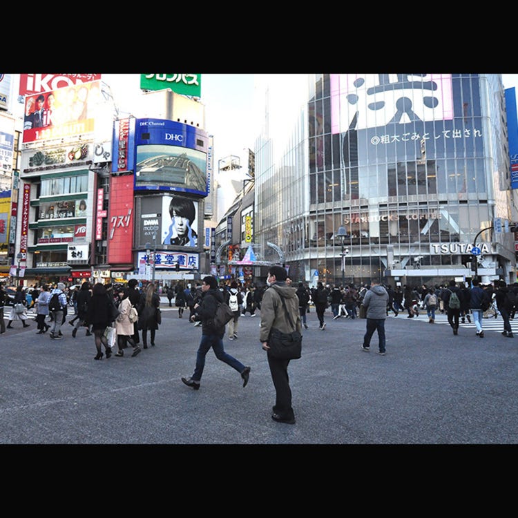 渋谷スクランブル交差点 渋谷 その他 街並み Live Japan 日本の旅行 観光 体験ガイド