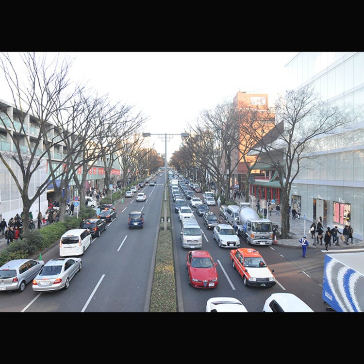 神宮前5丁目歩道橋 原宿 その他 街並み Live Japan 日本の旅行 観光 体験ガイド