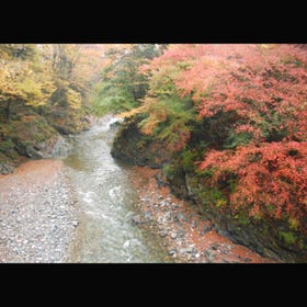 氷川渓谷