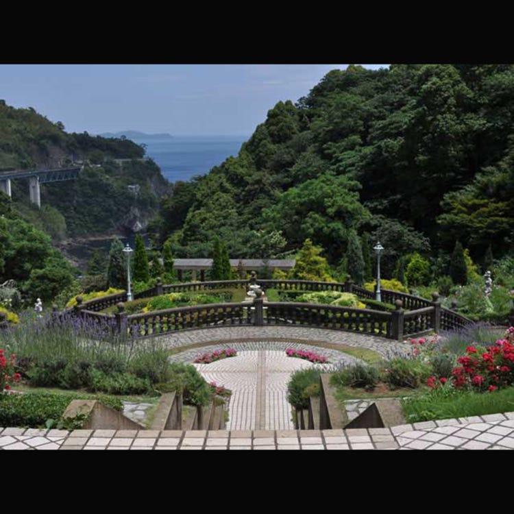 Akao Herb Rose Garden 熱海 動物園 植物園 水族館 Live Japan 日本旅遊 文化體驗導覽