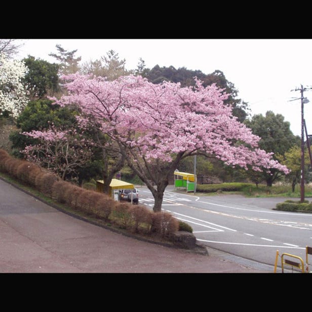 Himenosawa Park