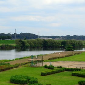 Shibamata baseball ground of Katsushika district