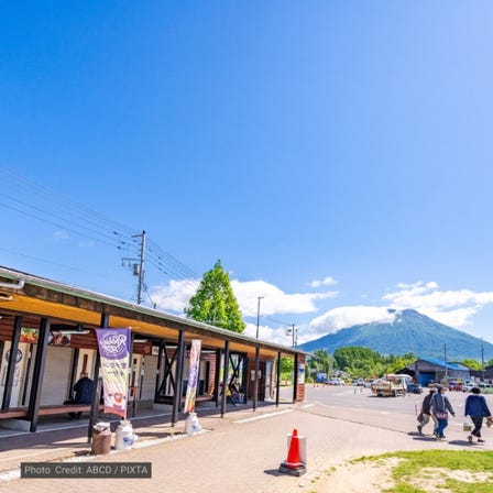 Michi-no-Eki Niseko View Plaza