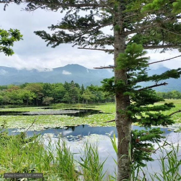 知床五湖