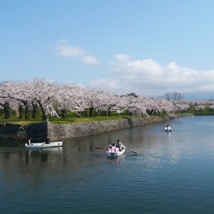 五稜郭公園 (函館|城跡) - LIVE JAPAN (日本の旅行・観光・体験ガイド)