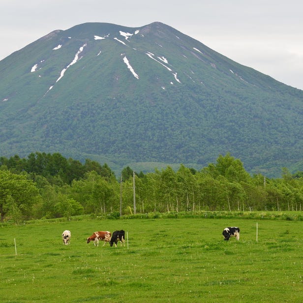 羊蹄山