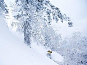 札幌手稻滑雪场