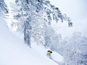 札幌手稻滑雪場