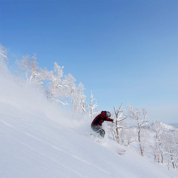富良野滑雪場