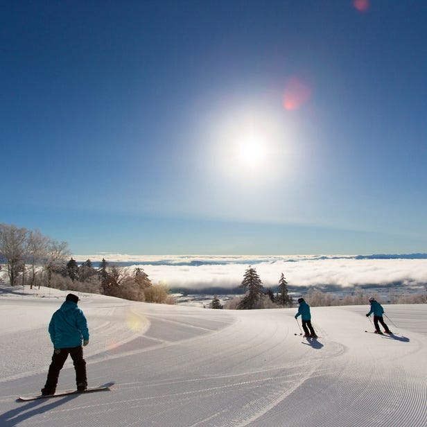 富良野滑雪場