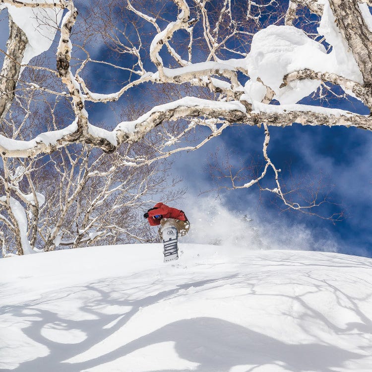 場 札幌 天気 スキー 国際 札幌国際 スキー場・天気積雪情報【基本情報・コース情報】