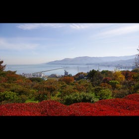 手宮公園