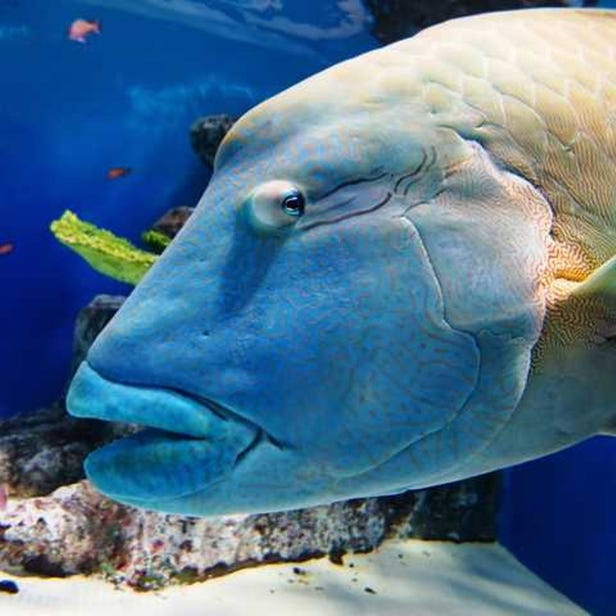 小樽水族馆