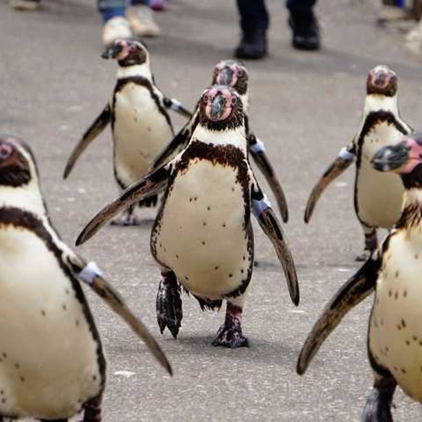 おたる水族館