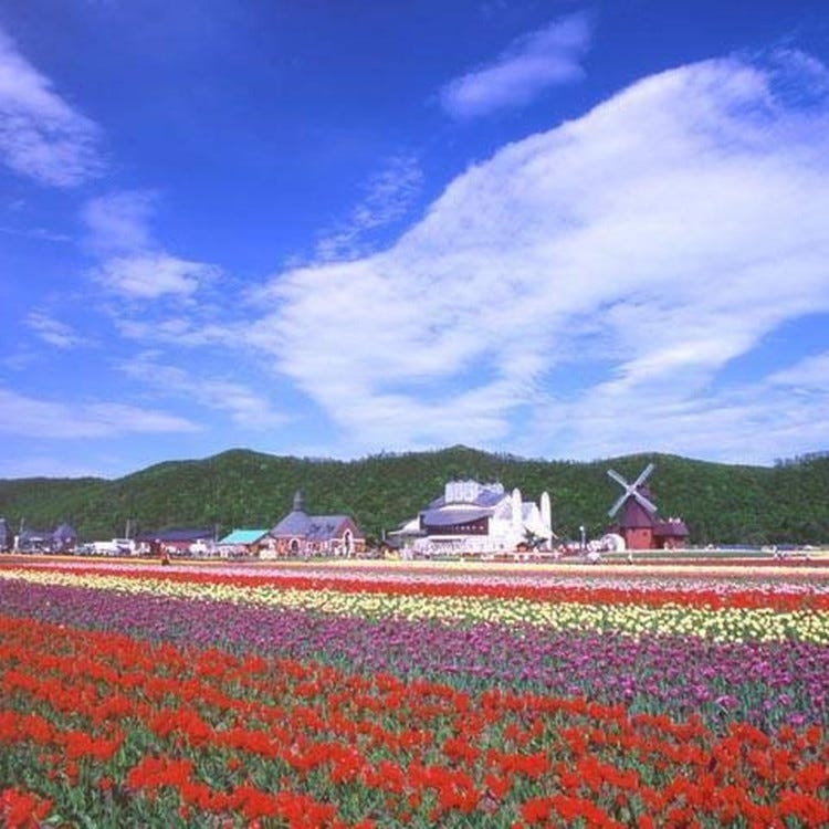 かみゆうべつチューリップ公園 網走 公園 Live Japan 日本の旅行 観光 体験ガイド