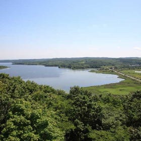 Salvo Observation Deck