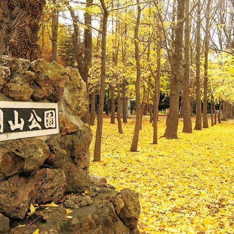 円山公園 札幌 千歳 公園 Live Japan 日本の旅行 観光 体験ガイド