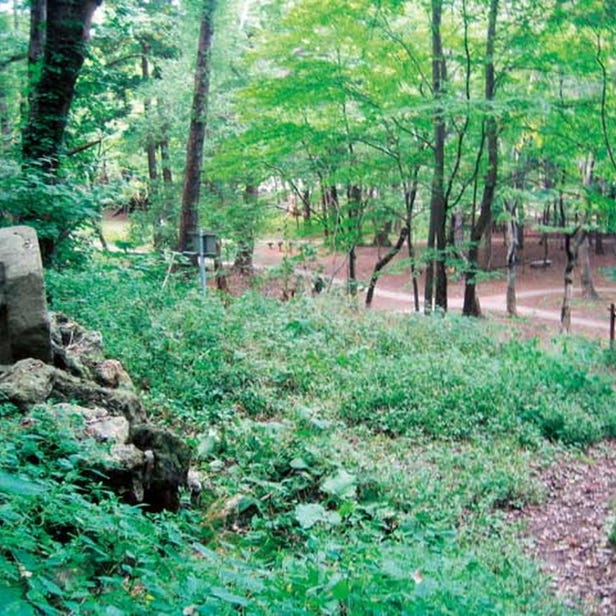 마루야마공원
