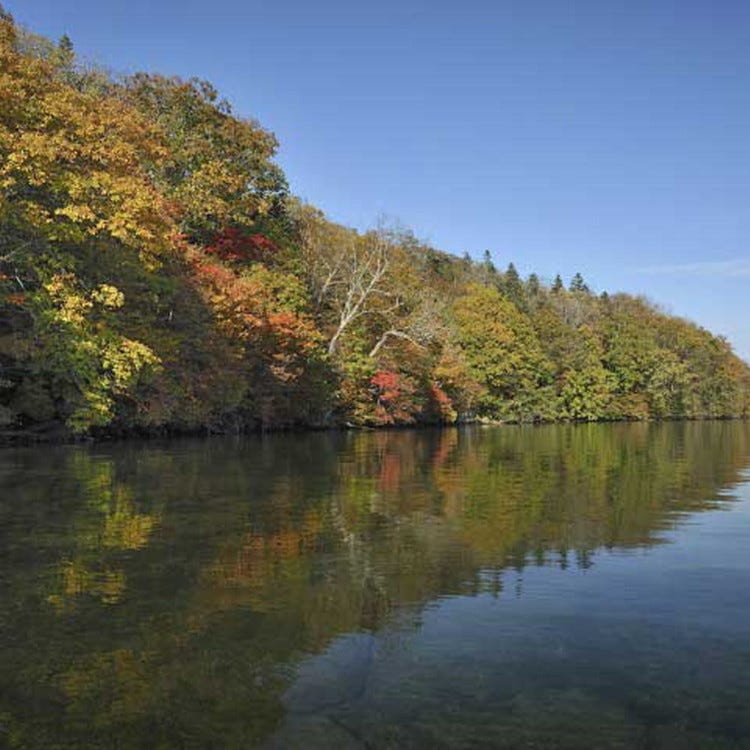 屈斜路湖 钏路 溪谷 溪流 河流 湖泊 Live Japan 日本的旅行 旅游 体验向导