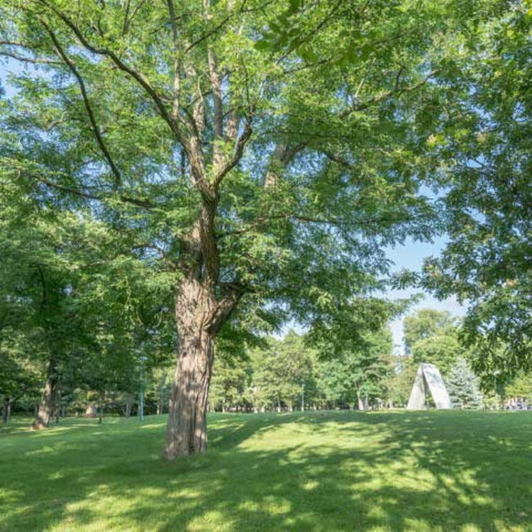 常磐公園 旭川 公園 Live Japan 日本旅遊 文化體驗導覽