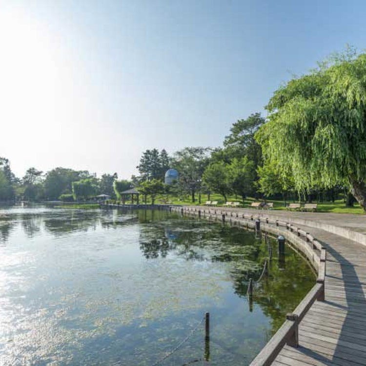 常磐公園 旭川 公園 Live Japan 日本旅遊 文化體驗導覽