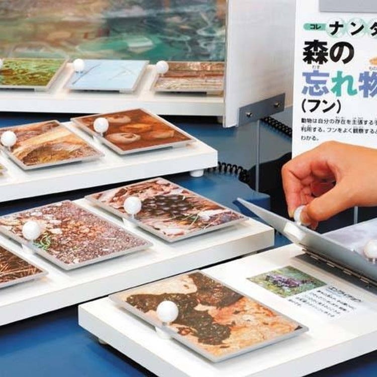 洞爺湖ビジターセンター 火山科学館 登別 洞爺湖 科学博物館 Live Japan 日本の旅行 観光 体験ガイド
