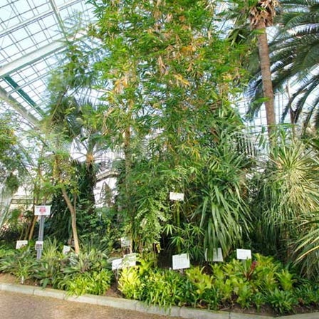 Hakodate Tropical Botanical Garden