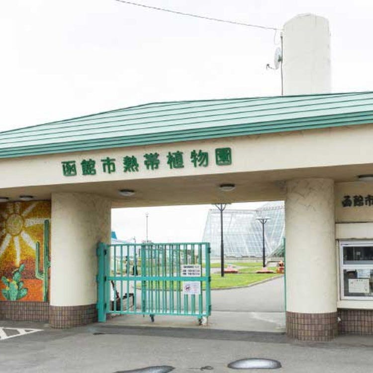 函館市熱帯植物園 函館 動植物園 水族館 Live Japan 日本の旅行 観光 体験ガイド