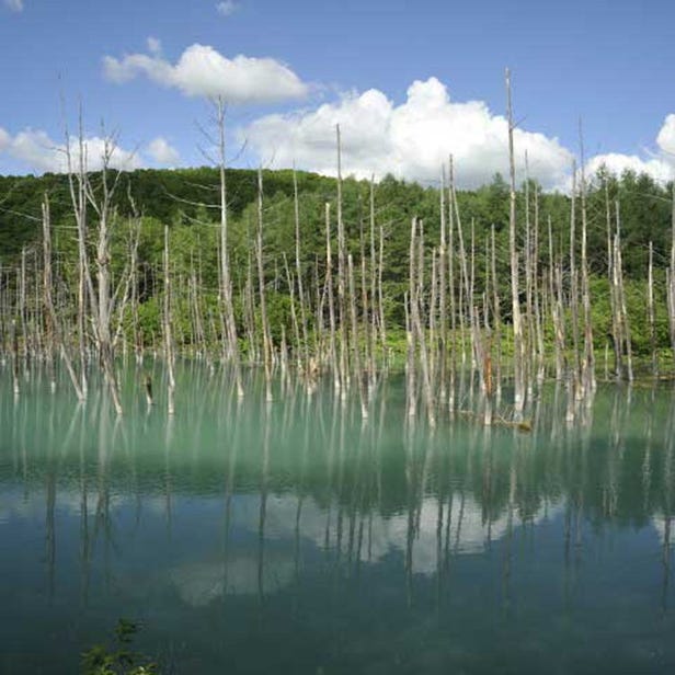 비에이시로가네 푸른 연못-아오이이케