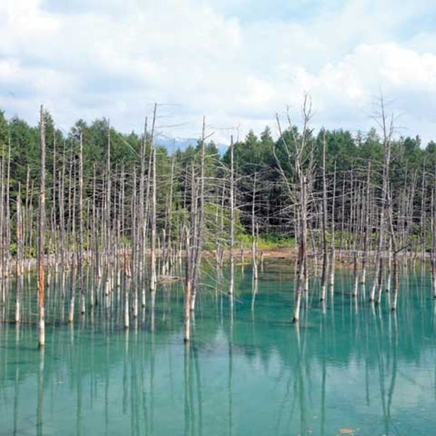 비에이시로가네 푸른 연못-아오이이케
