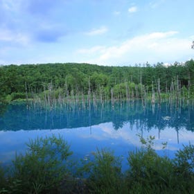 Shirogane Blue Pond (Aoiike)