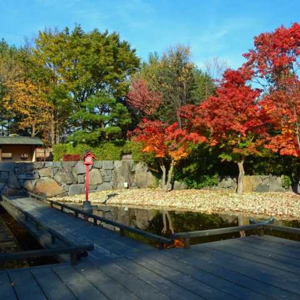 百合が原公園