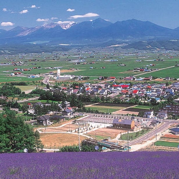 Choei Lavender Farm & Nakafurano Flower Park