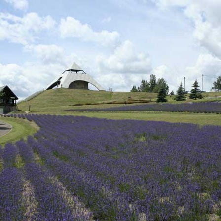 Hokusei-no-oka hills Observatory park