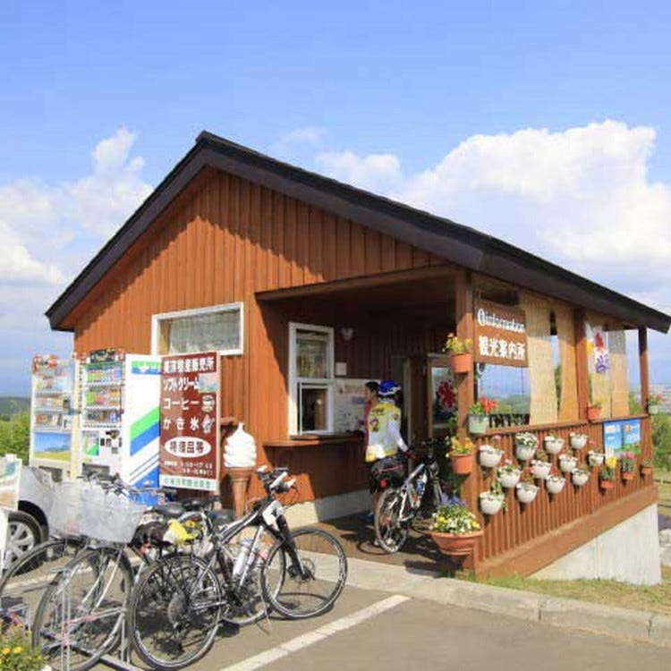 北西の丘展望公園 富良野 美瑛 層雲峡 公園 Live Japan 日本の旅行 観光 体験ガイド