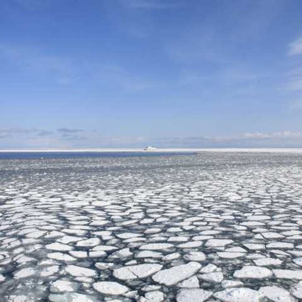 網走流冰觀光破冰船極光號