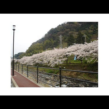 西村京太郎記念館