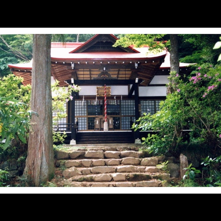 天照山 もみじの郷ハイキングコース 箱根 小田原 ネイチャースポーツ Live Japan 日本の旅行 観光 体験ガイド