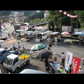 湯河原温泉 日曜観光朝市