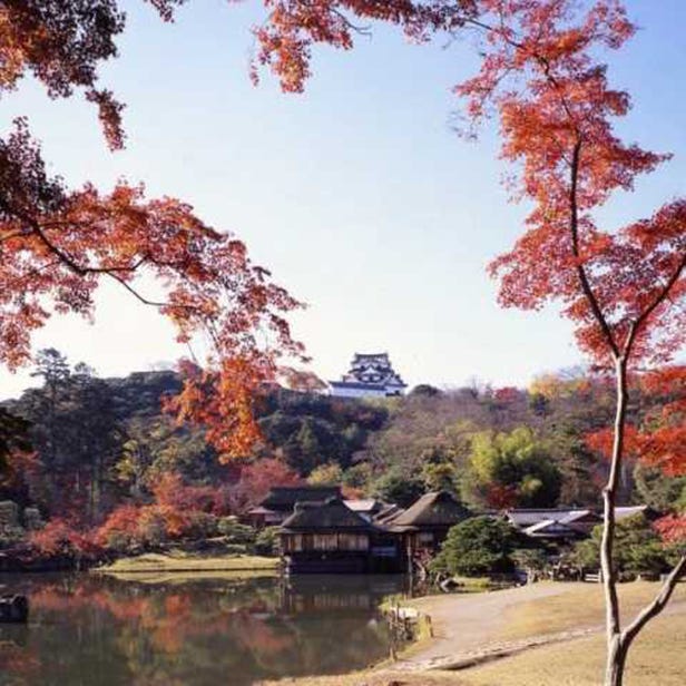히코네조 성