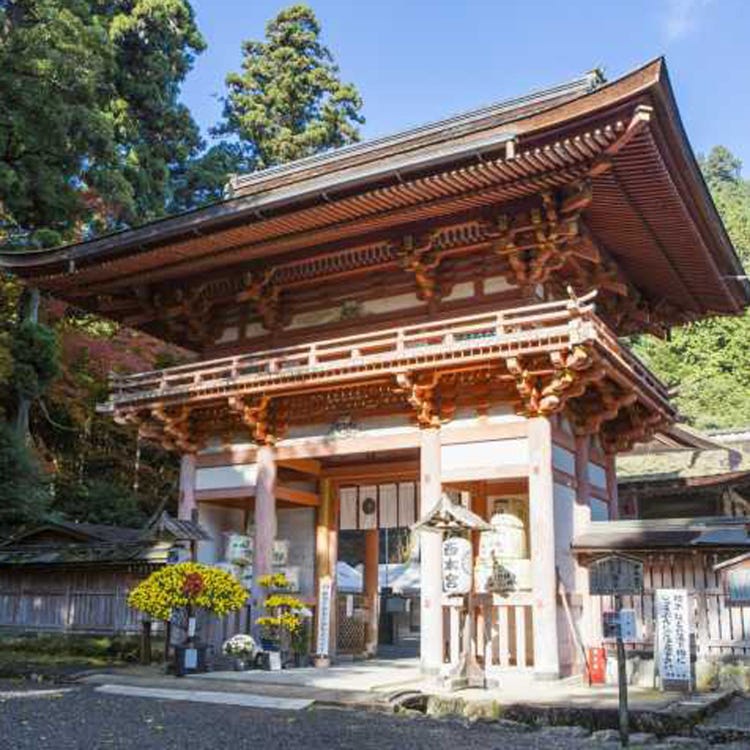 日吉大社 大津 草津 神社 Live Japan 日本旅遊 文化體驗導覽