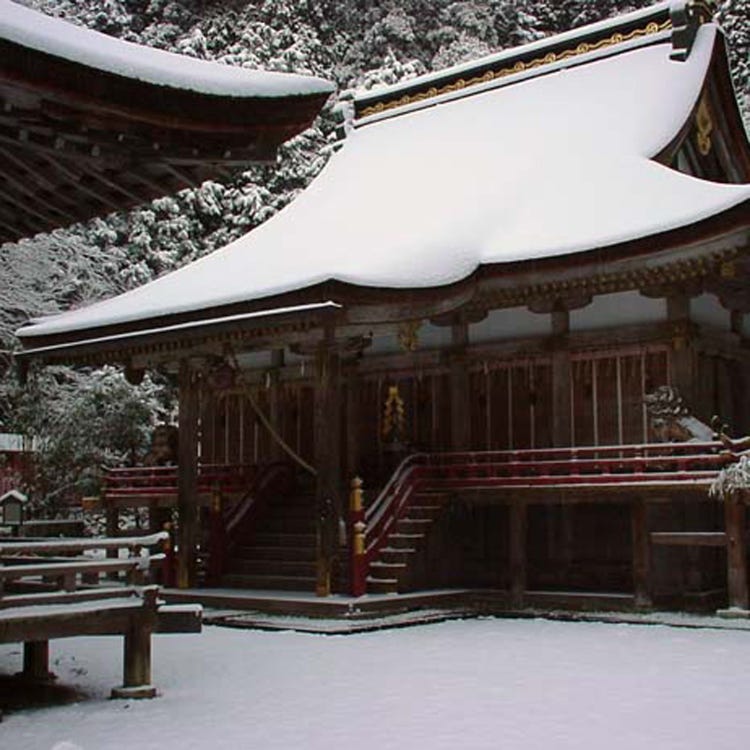 日吉大社 大津 草津 神社 Live Japan 日本旅遊 文化體驗導覽
