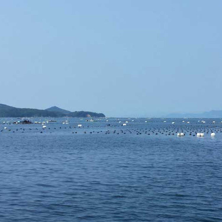 Ago Bay Cruise Ise Toba Shima Other Activities Live Japan Japanese Travel Sightseeing And Experience Guide