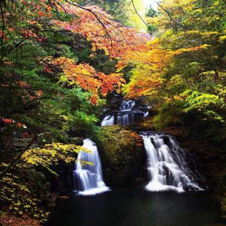The 48 Falls of Akame (Matsuzaka, Tsu|Rivers, Lakes & Canyons