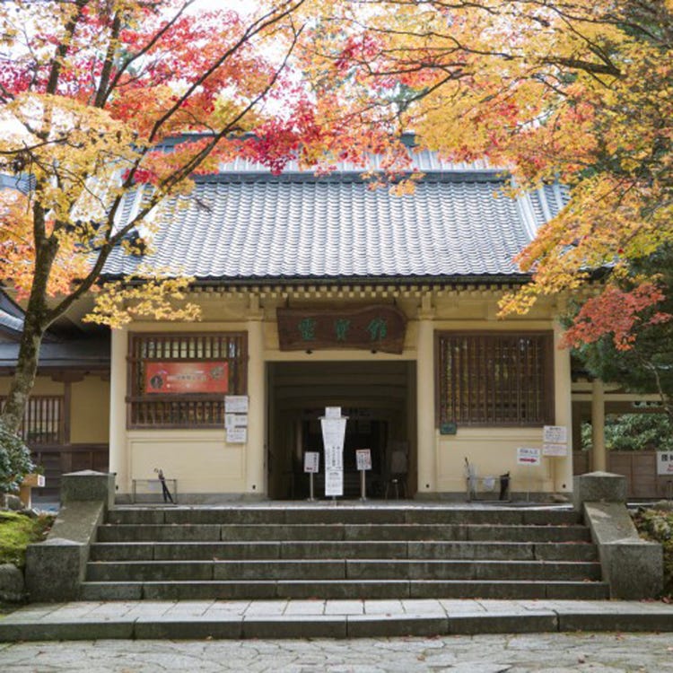 灵宝 