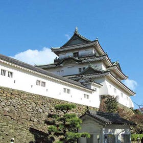 Wakayama Castle