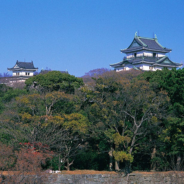 화카야마조 성
