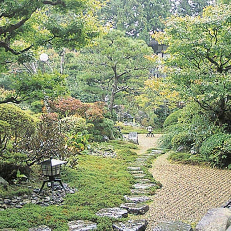 持明院 和歌山 高野山 寺院 Live Japan 日本旅遊 文化體驗導覽