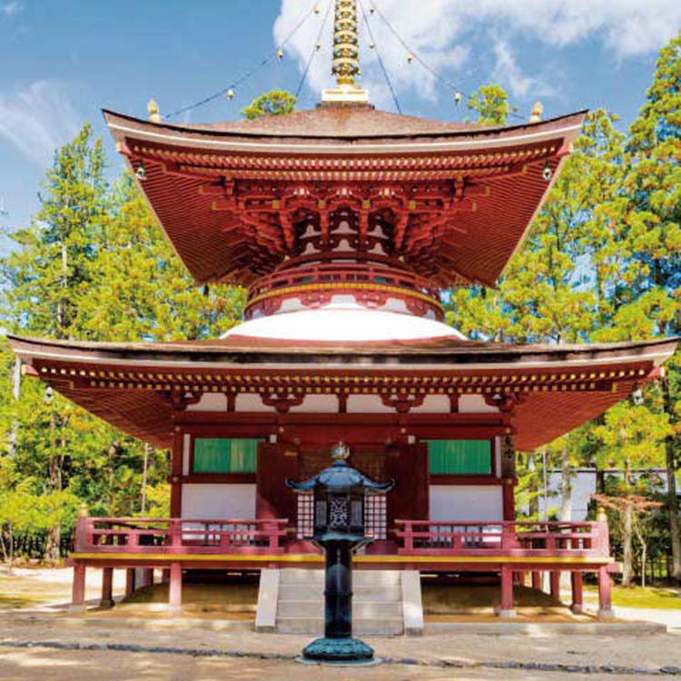 壇上伽藍 和歌山 高野山 寺院 Live Japan 日本旅遊 文化體驗導覽